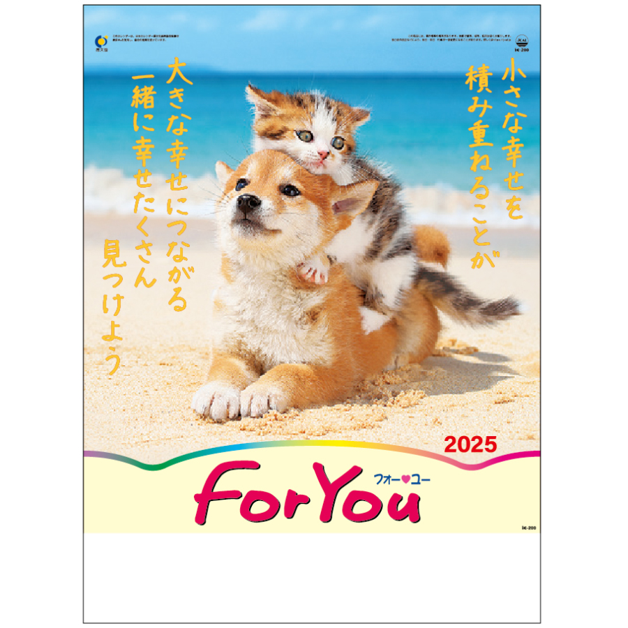 FOR YOU (フォー・ユー)