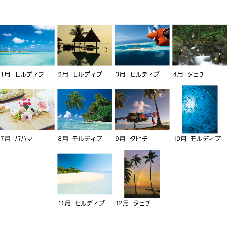 癒しの楽園 〜三好和義作品集〜（TD-653）画像-3