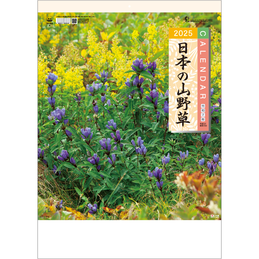 日本の山野草（TD-818）画像-1