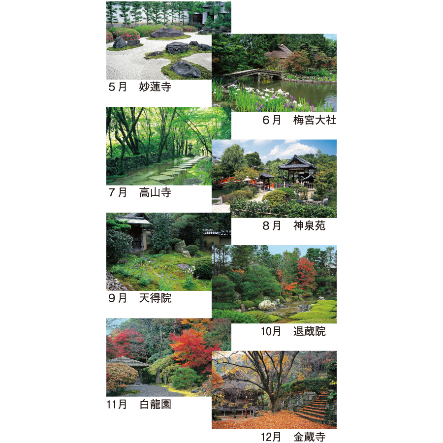 四季の庭（YG-4）画像-3
